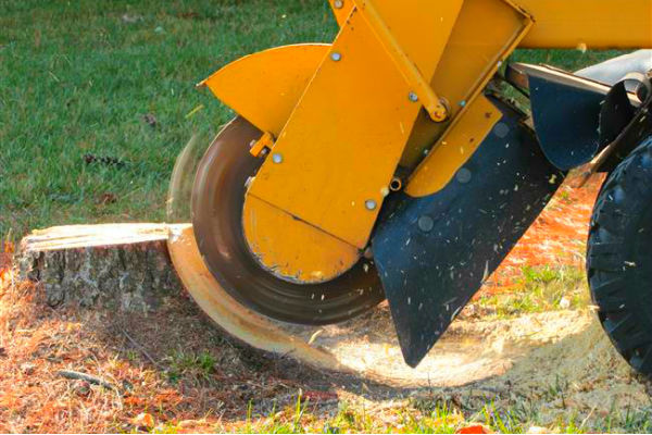 stump-grinding-and-removal